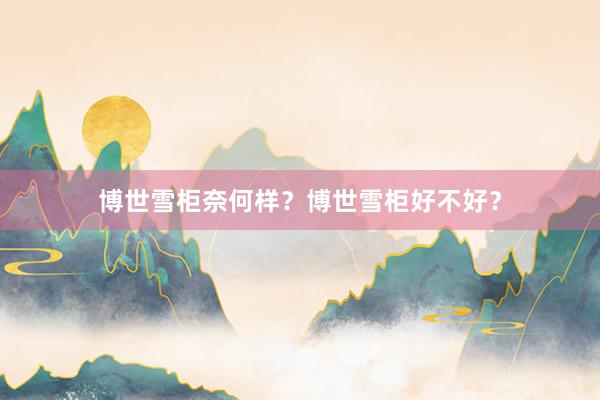 博世雪柜奈何样？博世雪柜好不好？