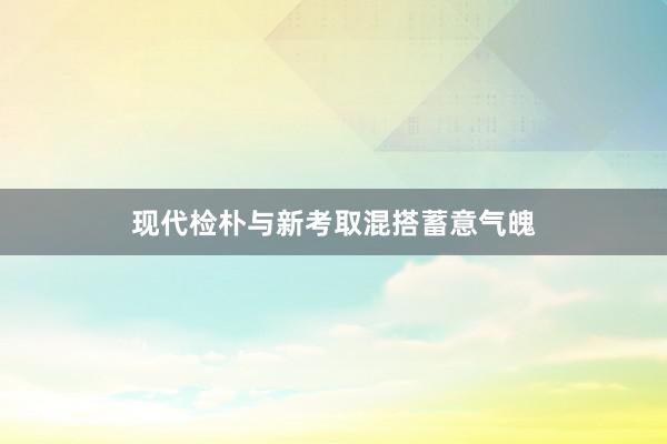 现代检朴与新考取混搭蓄意气魄