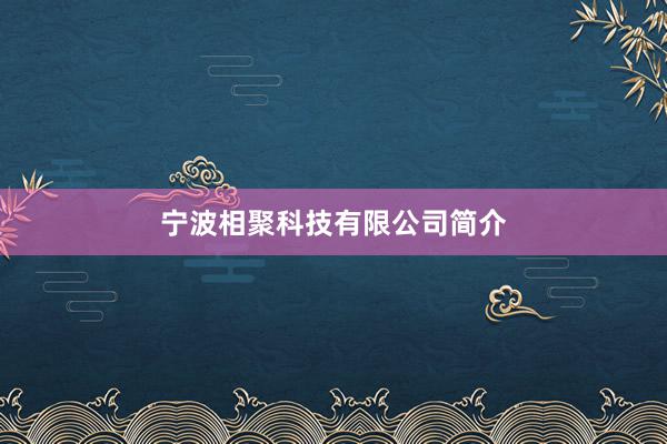 宁波相聚科技有限公司简介