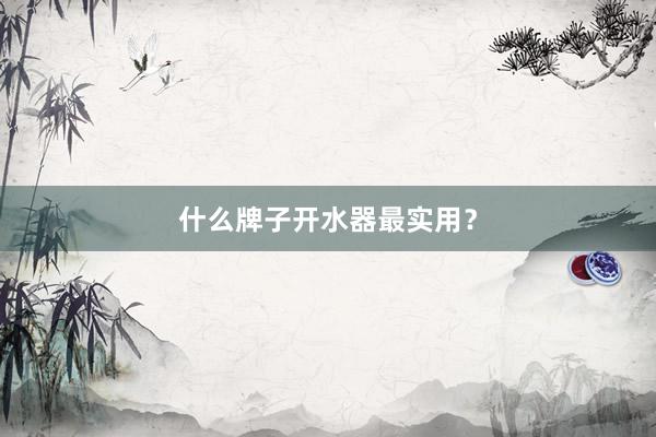 什么牌子开水器最实用？