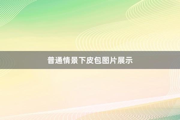 普通情景下皮包图片展示