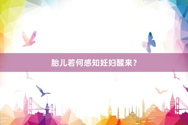 胎儿若何感知妊妇醒来？